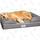 PetFusion Gold Box | Amazon